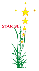STAR SE Co., Ltd.